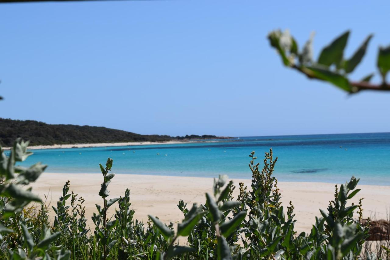 ダンズボロー Eagle Bay House Bed & Breakfast エクステリア 写真