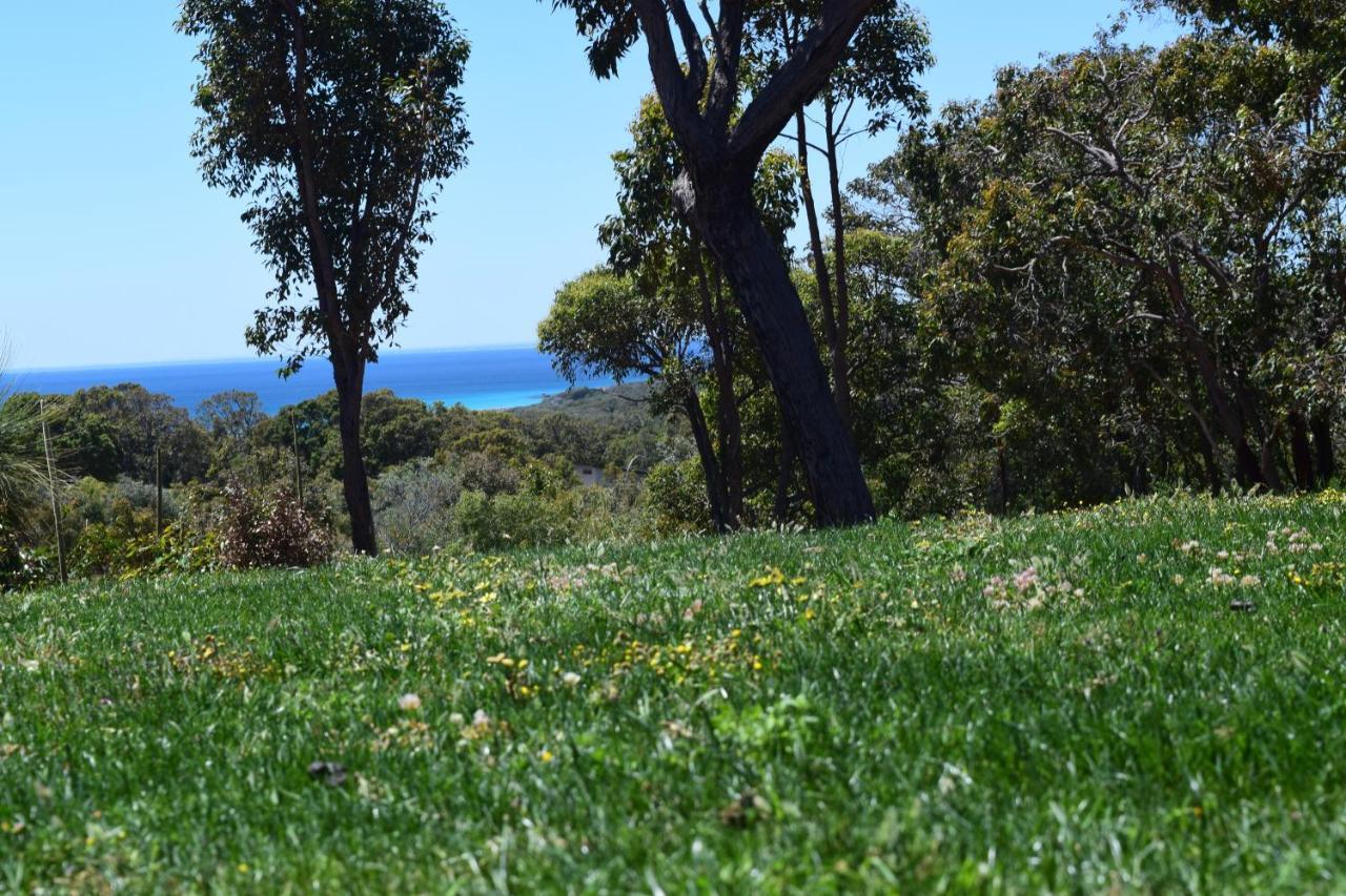 ダンズボロー Eagle Bay House Bed & Breakfast エクステリア 写真