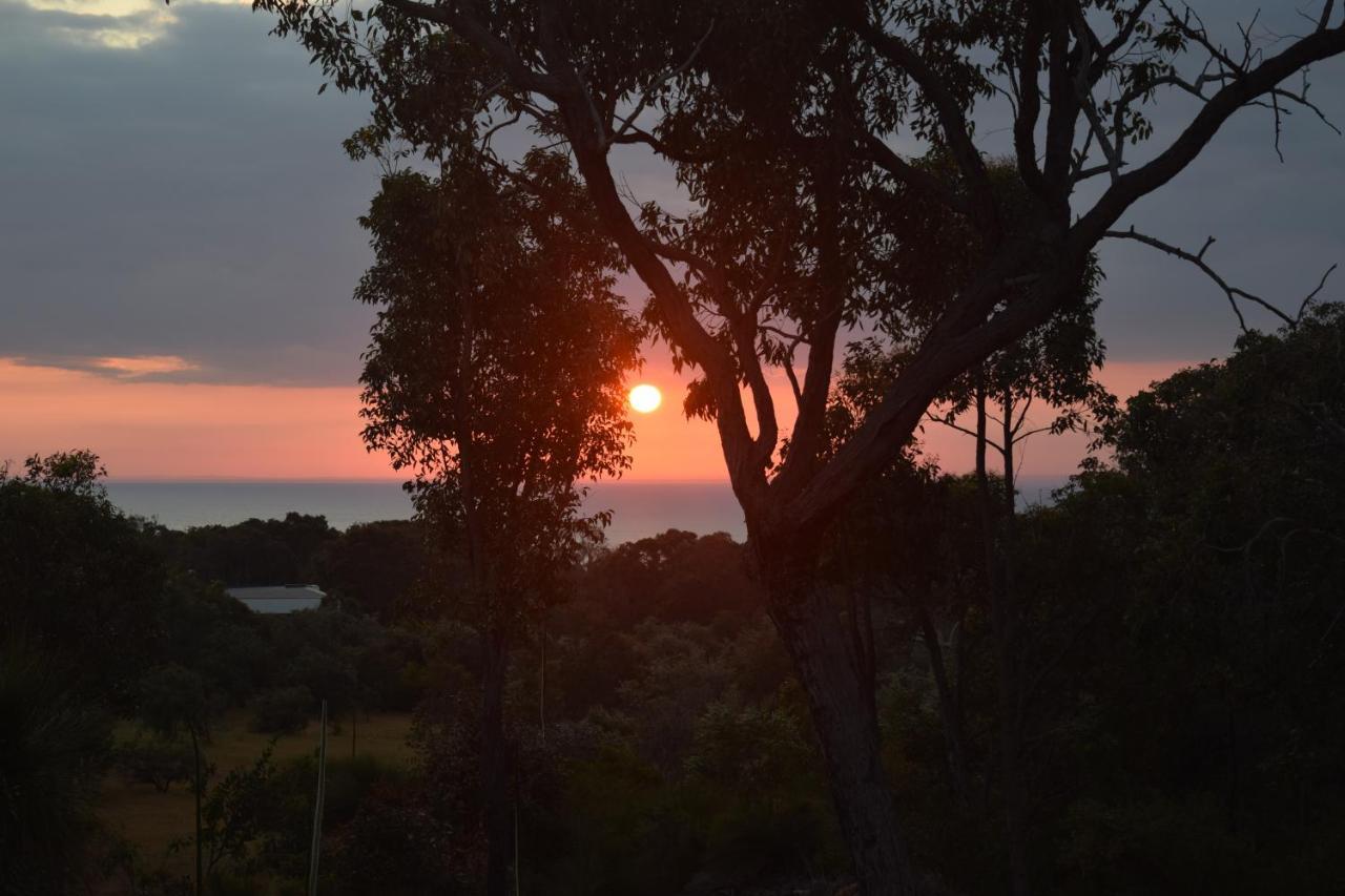 ダンズボロー Eagle Bay House Bed & Breakfast エクステリア 写真